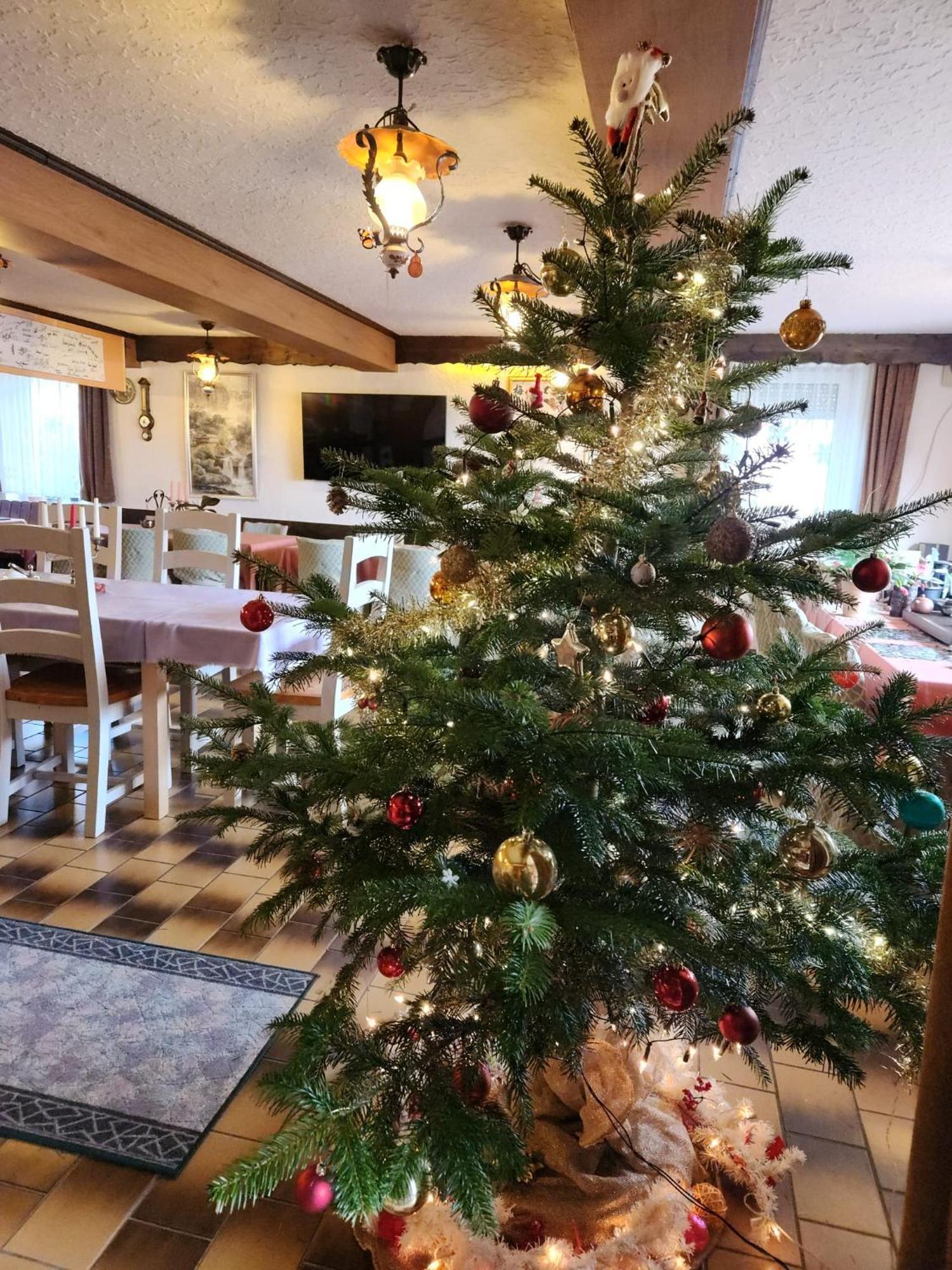 Gasthaus Hochwald Hattgenstein ภายนอก รูปภาพ